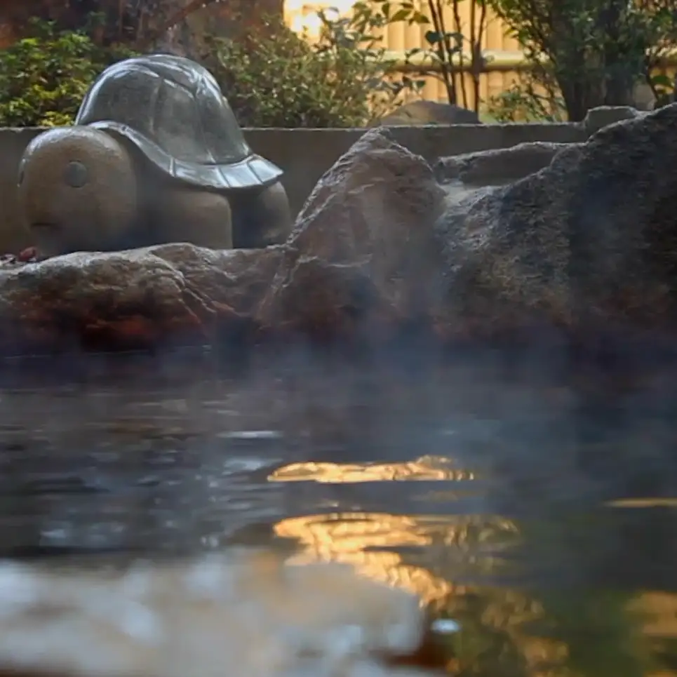 動画が再生できない場合の画像